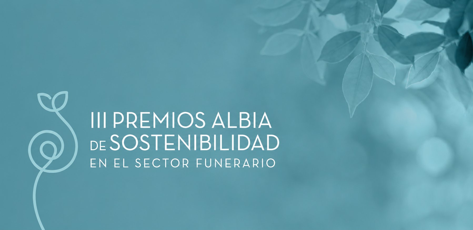 imagen del slider
