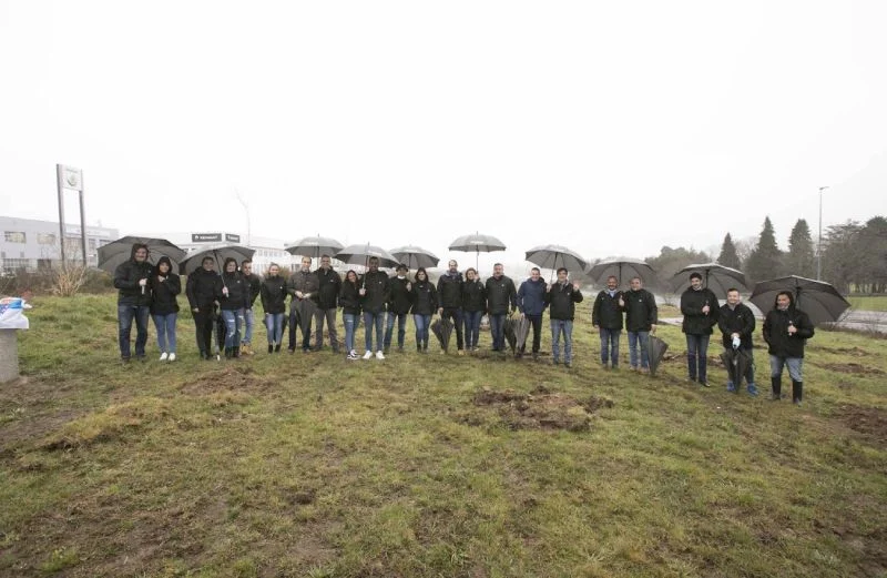 la iniciativa de compensación de la huella de carbono bosque albia vuelve a galicia