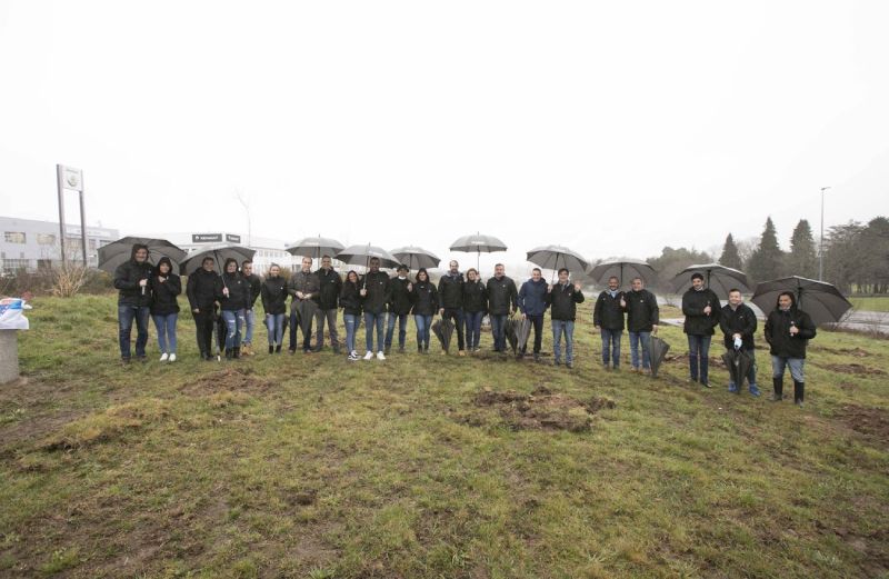 la iniciativa de compensación de la huella de carbono bosque albia vuelve a galicia